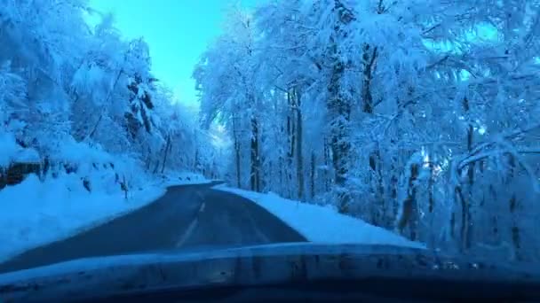 Schöne Aufnahme Aus Dem Auto Von Einer Straße Mit Bäumen — Stockvideo