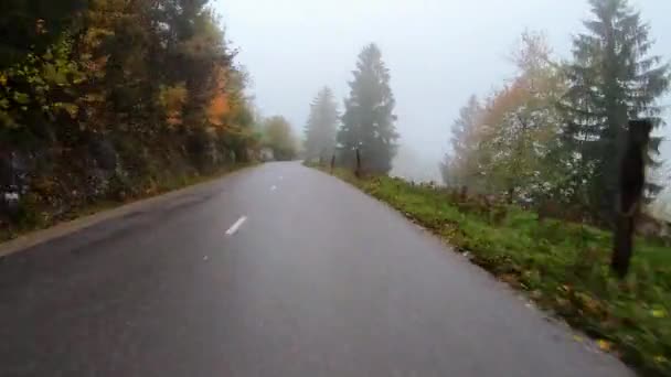 雨后一辆汽车在雾蒙蒙的乡间小路上行驶的Pov — 图库视频影像