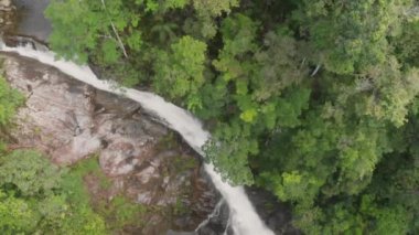 A bird's eye view of a river flowing in a dense forest
