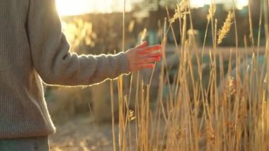 Young woman walking on the beach and reaching to the reeds with hand and changing side while wearing blue jeans
