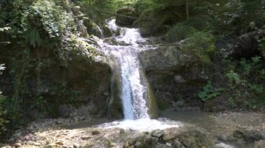 Parlak güneş ışığının altında akan küçük bir su akıntısı