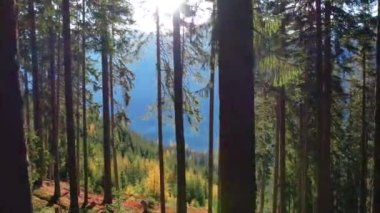 A beautiful drone view of a landscape of mountains and autumn trees in Salzburg, Austria.