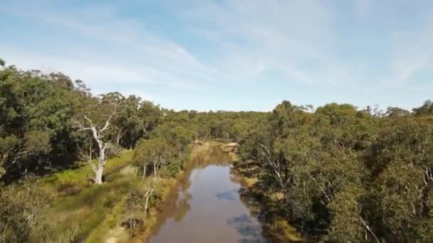 Eine Luftaufnahme Des Buschland Und Eines Sumpfes Emmaville New South — Stockvideo