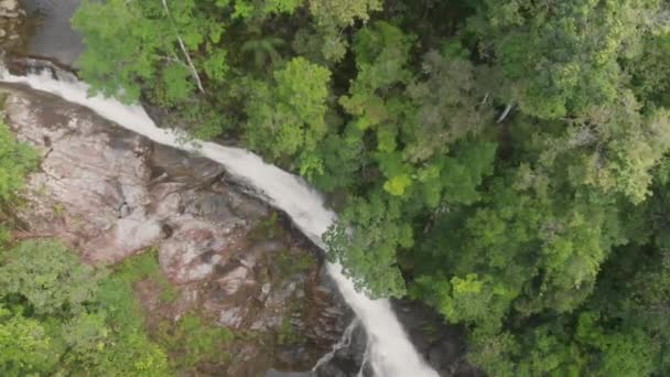 Bird Eye View River Flowing Dense Forest — Vídeos de Stock