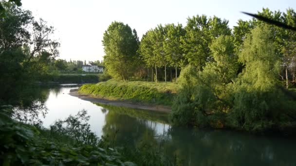 阳光明媚的河畔映衬着绿树和植物的风景 — 图库视频影像
