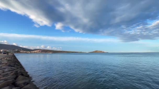 Flock Seagull Birds Flying Sea — Stockvideo