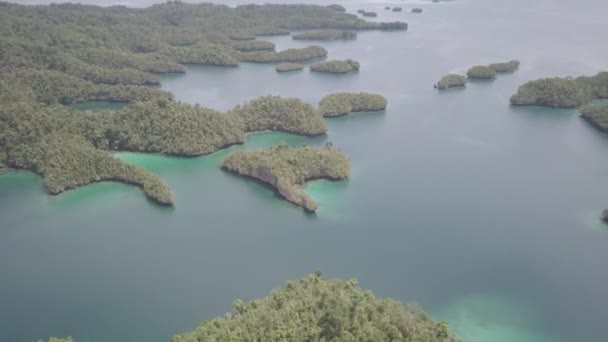 Aerial View Lush Green Archipelago Blue Ocean Water — Stock video