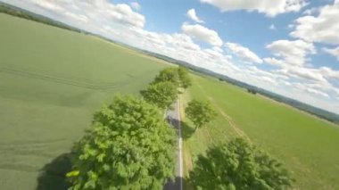 Fast FPV drone flight over a green avenue