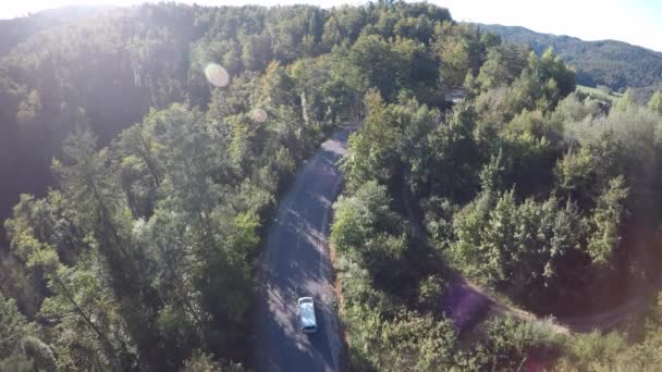 Aerial View White Car Driving Asphalted Road Surrounded Trees Sunny — Video