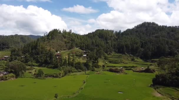 Aerial Shot Green Trees Mountains Sunnyday — Vídeos de Stock