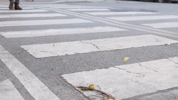 Footage Man Brown Shoes Crossing Road — Vídeo de Stock