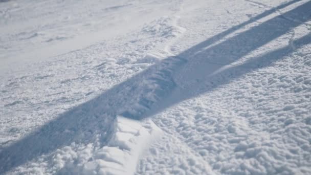 Young Fast Skier Carving Freshly Prepared Snow — 비디오