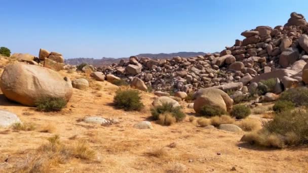 美国加利福尼亚州的加思巨石花园 — 图库视频影像