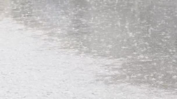 Heavy Rain Pouring Flooded Street — Stock videók