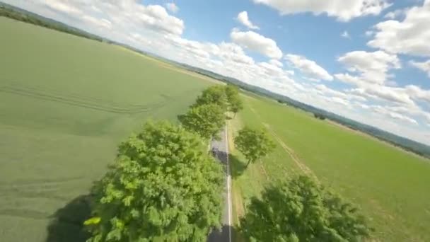 Fast Fpv Drone Flight Green Avenue — Video