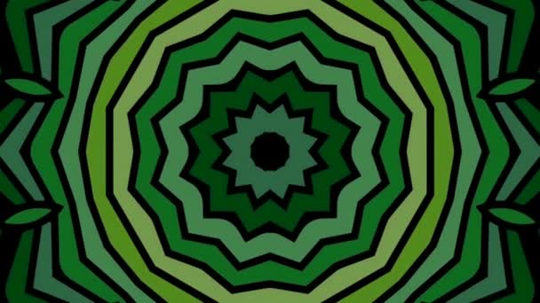 Caleidoscopio Floral Verde Fondo Negro Animación — Vídeo de stock