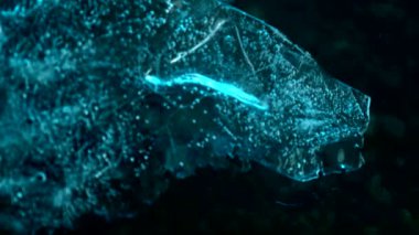 Blue ice breaks shot at 1000fps