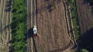 A top view of agricultural machinery threshed wheat on a sunny day