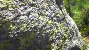 A stone covered with moss near the lake and beautiful nature