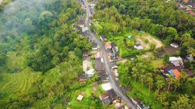 An amazing bird's eye view of road surrounded by palm trees and houses in Ubud, Bali, Indonesia