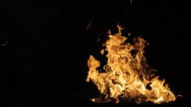 Ormanda güzel bir kamp ateşi manzarası.