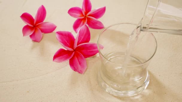 Overhead Shot Water Poured Empty Glass Pink Frangipani Flowers — Αρχείο Βίντεο