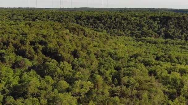 Aerial View Scenery Green Trees Cedar Ridge Preservation — Stockvideo