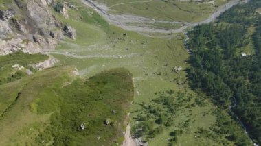A beautiful view of a mountain landscape with a forest on a sunny day