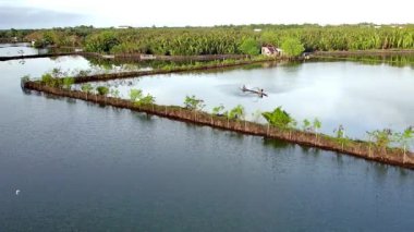 Ormanla çevrili bir tarımsal gölün manzaralı bir görüntüsü.