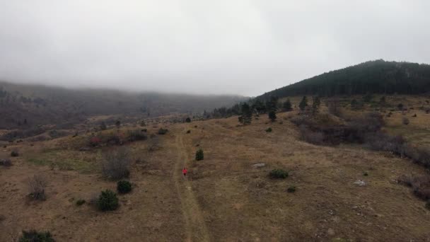 Aerial View Woman Red Jacket Running Trail Countryside — Vídeos de Stock