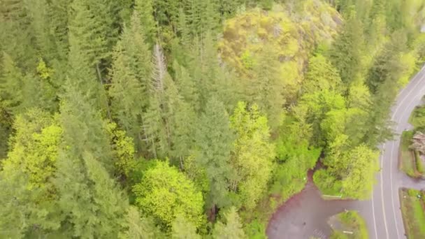 Aerial View Thick Vegetation North Bend Snoqualmie Washington Usa — Stockvideo