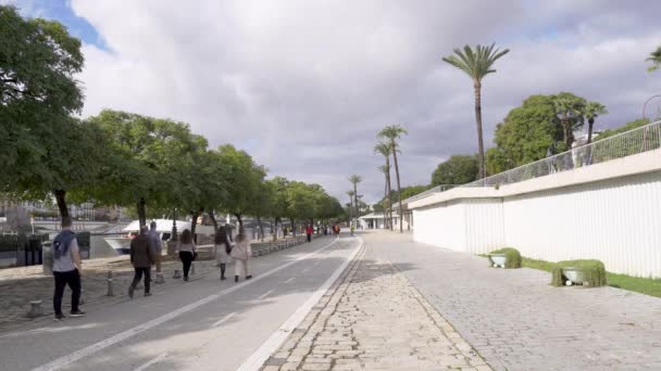 Bikers Runners Pedestrians Traveling Guadalquivir River Seville — Vídeo de stock