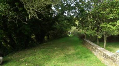 A path through lush green trees in Dunbeath Strath, Scottish Highlands