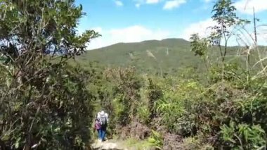 Dağlardaki ormanda yürüyüş parkurunda yürüyen insanların yakın plan HD görüntüleri.