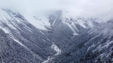 Karlı dağ sırasının kozalaklı ağaçlarla kaplı güzel drone görüntüleri..