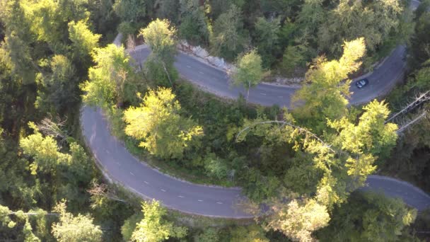 Aerial Footage Black Car Driving Curved Asphalted Road Surrounded Trees — Stockvideo