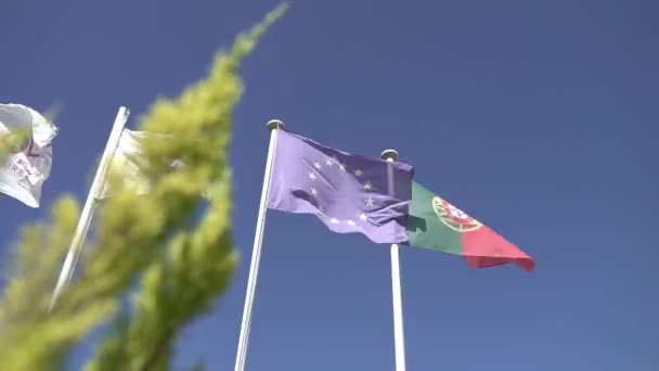 Flags Portugal Flagpoles Waving Wind — Stock Video