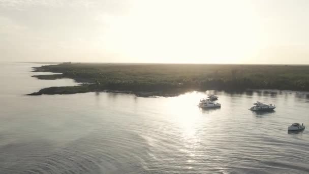 Drone View Luxury Floating Yachts Ocean Coast Surrounded Trees — Stok video
