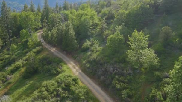 Aerial View White Truck Riding Mountain Road Lush Green Forests — Wideo stockowe