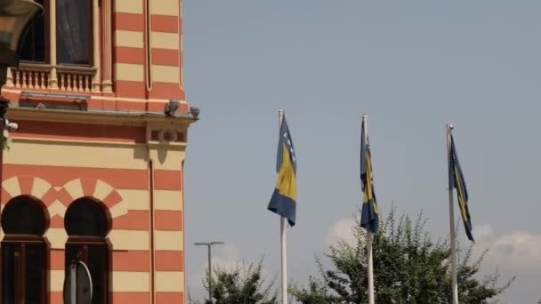 Beautiful Shot Flags Bosnia Herzegovina Pole Waving Being Blown Wind — Stock Video