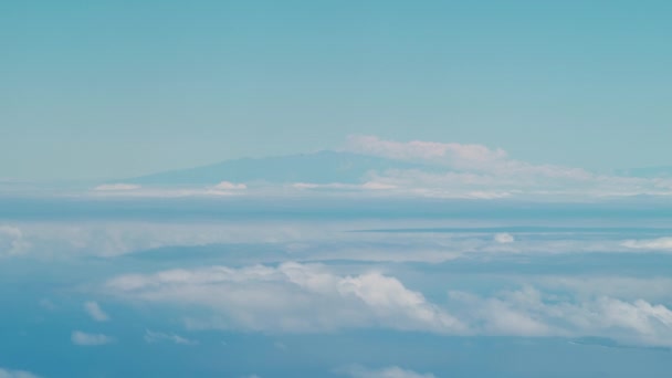 Телефон Дивиться Хмари Гору Через Вікно Літака Шляху Гаваїв — стокове відео