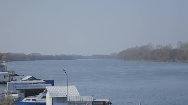 河上的船被无叶的树环绕着 — 图库视频影像