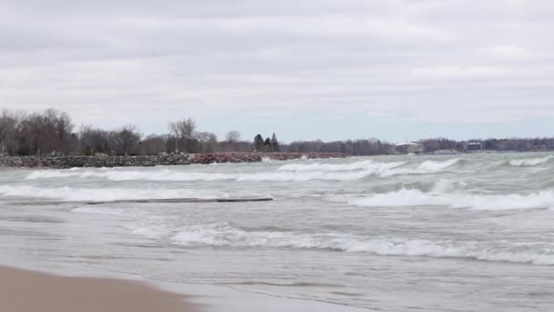 Een Schilderachtig Uitzicht Een Watermassa Met Golven Die Zandkust Raken — Stockvideo