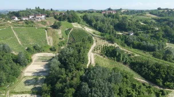Flygbilder Gröna Vingårdar Ett Landsbygdsområde Italien — Stockvideo