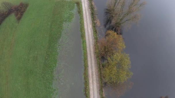 Aerial View Country Road Lake Green Nature Sides — Video