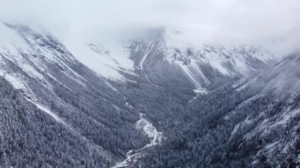 針葉樹で覆われた雪の山の範囲の美しいドローン映像 — ストック動画