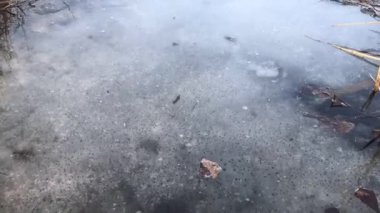 Akşamları Ukrayna 'daki gölde buz