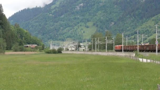 Een Beelden Van Een Naderende Goederentrein Buurt Van Het Gazon — Stockvideo