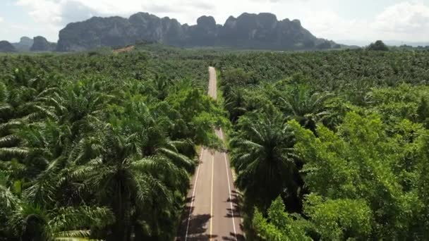 Drone Top View Country Road Luek Krabi Tailândia Rodeado Por — Vídeo de Stock