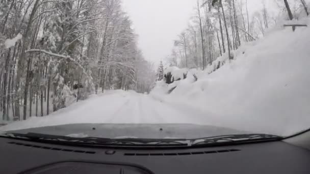 Ένα Βίντεο Ένα Αυτοκίνητο Διασχίζει Ένα Δάσος Καλυμμένο Λευκό Χιόνι — Αρχείο Βίντεο